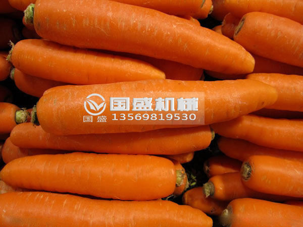 榴莲APP直播下载安装窗口胡萝卜脱水挤压机