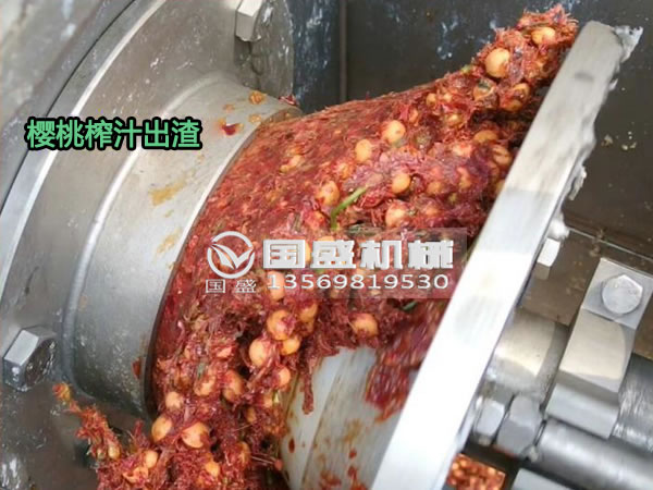 榴莲APP直播下载安装窗口樱桃螺旋压榨脱水机